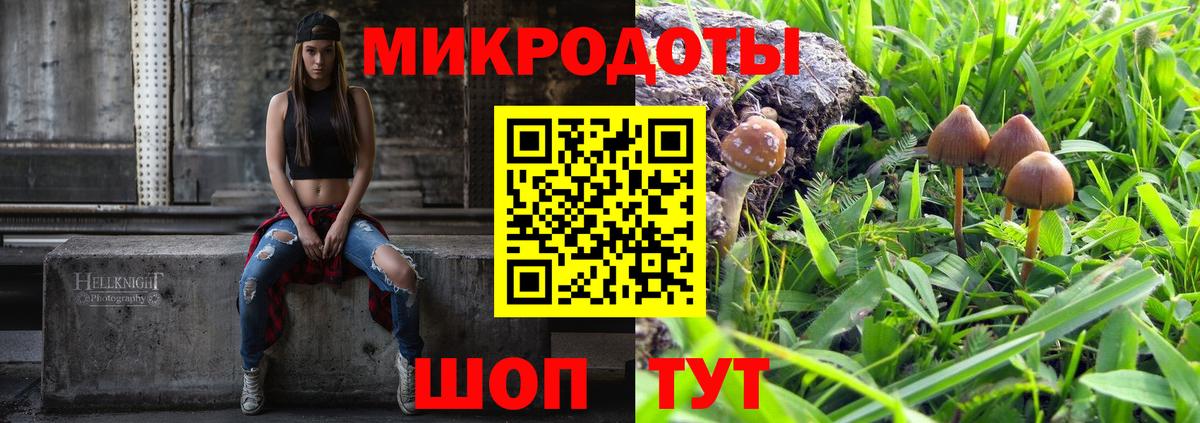 Брянск  Псилоцибиновые грибы прущие грибы  Вход с VPN  Галлюциногенные грибы MAGIC MUSHROOMS 