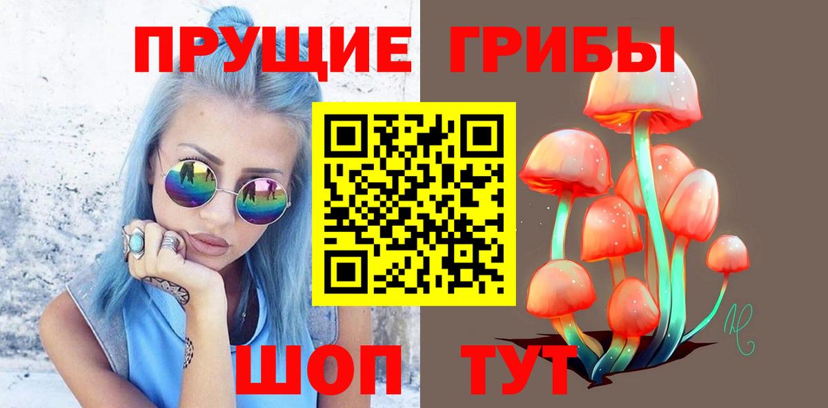 Галлюциногенные грибы Psilocybe Брянск